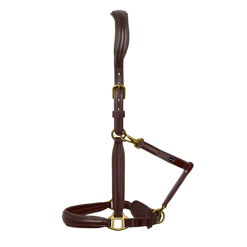 Passier Leather Stable Halter - Havana