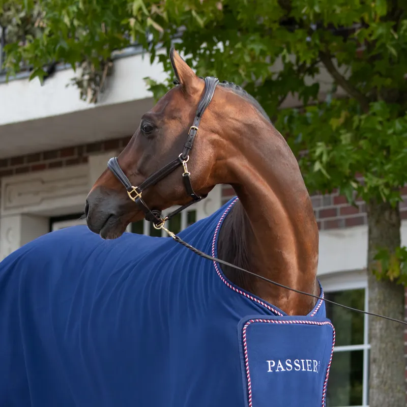 Passier Leather Stable Halter - Havana-1