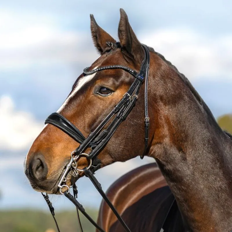 Passier Moonlight Double Bridle-1