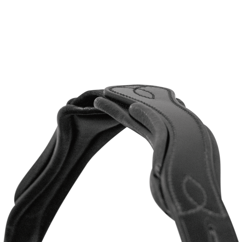 Passier Fantastic Snaffle Bridle - Black-1