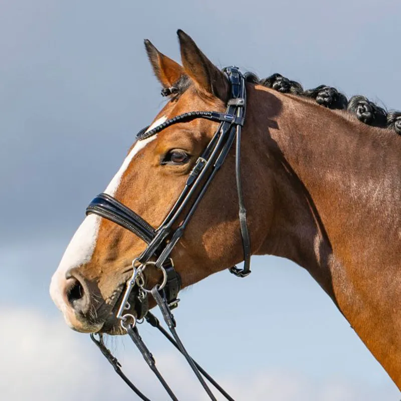 Passier Highscore Double Bridle - Black-1