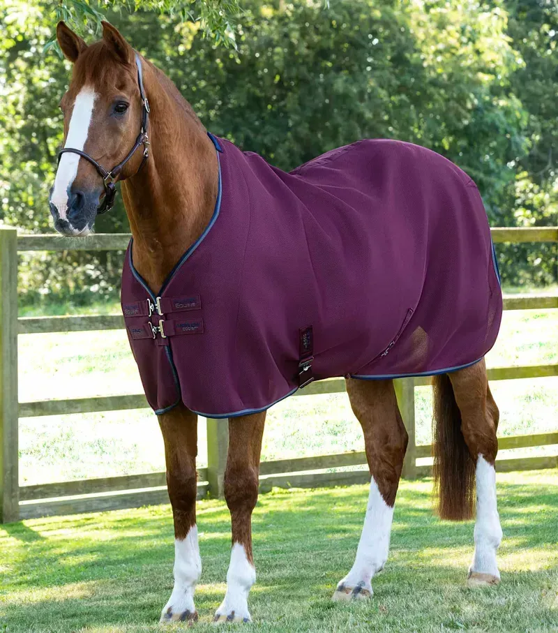 Airflow Cooler Rug / Burgundy