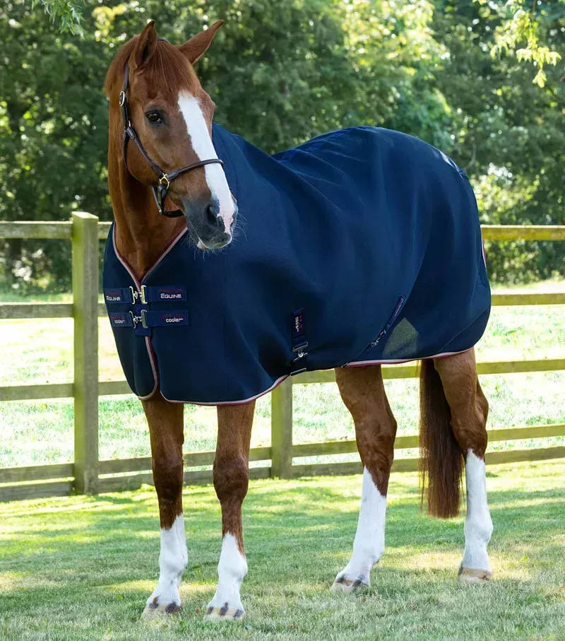 Premier Equine Airflow Cooler Rug in Navy