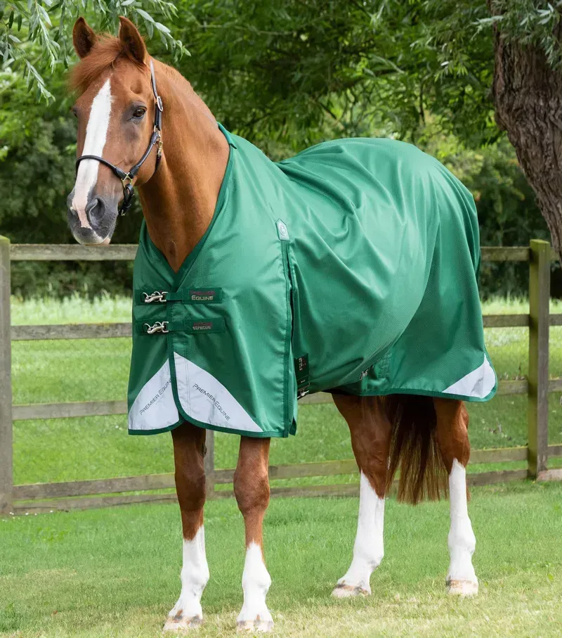 Premier Equine Akoni 0g Original Turnout Rug in Green