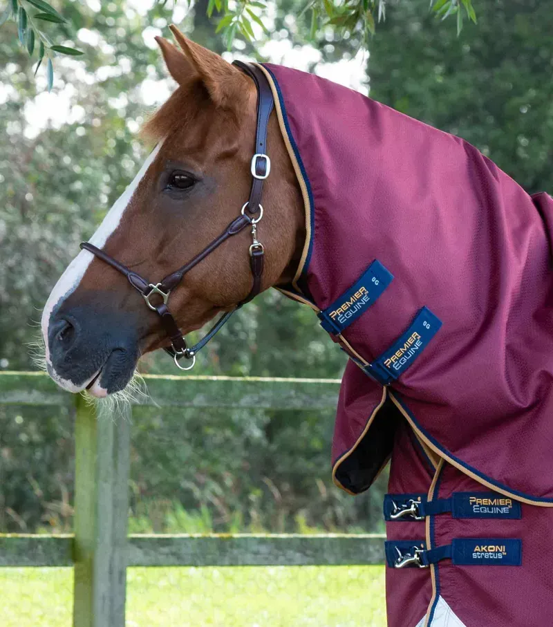 Premier Equine Akoni 0g Turnout Rug With Classic Neck Cover in Wine-2