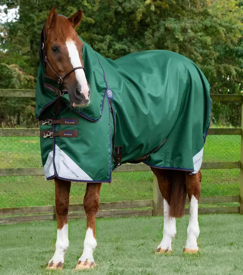 Premier Equine Akoni 0g Turnout Rug With Classic Neck Cover in Green