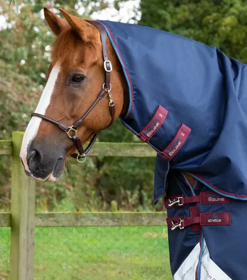 Premier Equine Akoni 0g Turnout Rug With Classic Neck Cover in Navy-3