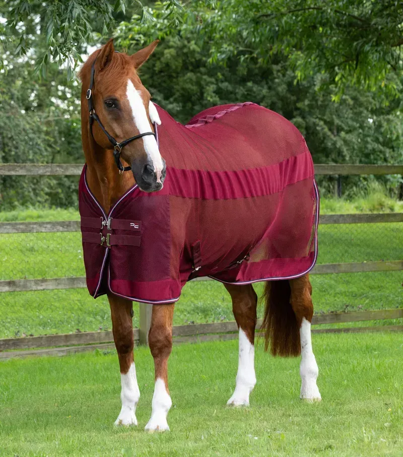 Premier Equine Arisca Scrim Cooler in Burgundy