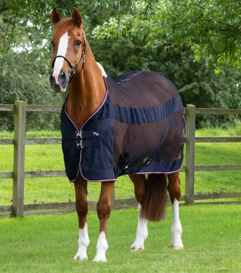 Arisca Scrim Cooler / Navy