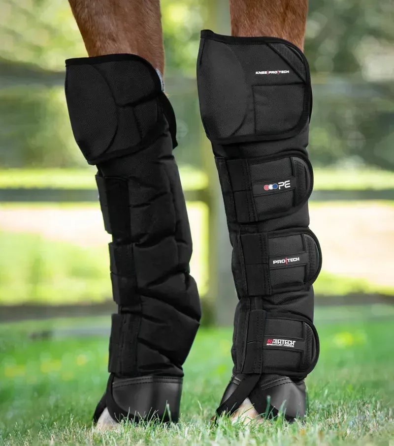Ballistic Knee Pro-Tech Horse Travel Boots - Black