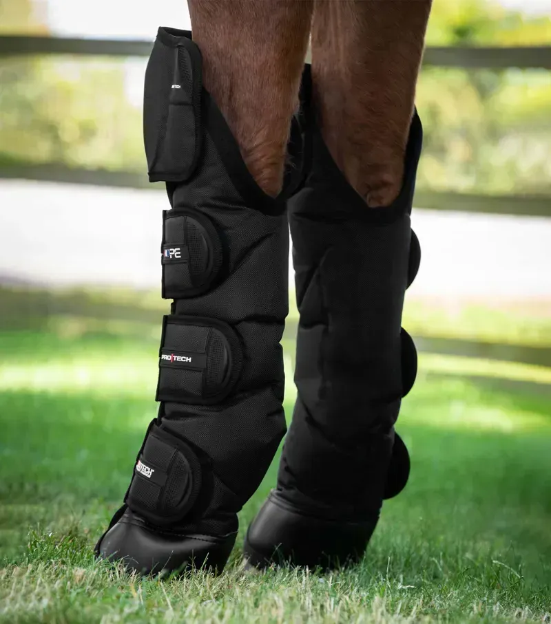 Ballistic Knee Pro-Tech Horse Travel Boots - Black-1