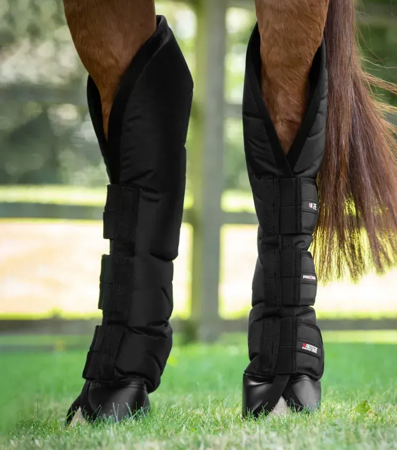 Ballistic Knee Pro-Tech Horse Travel Boots - Black-3