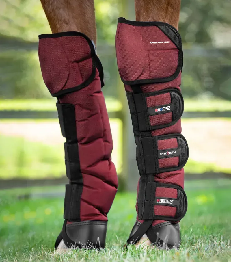Ballistic Knee Pro-Tech Horse Travel Boots - Burgundy