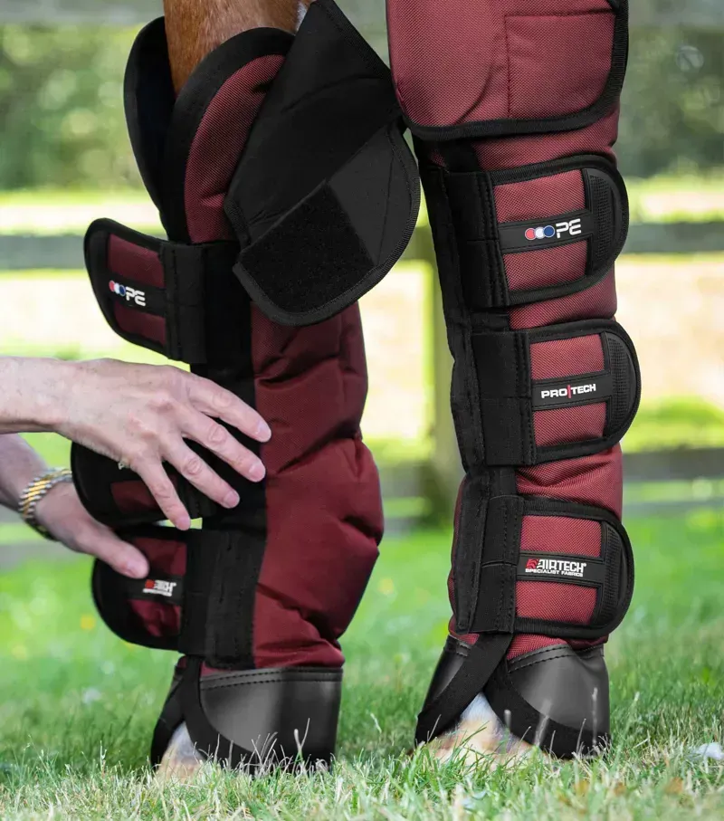 Ballistic Knee Pro-Tech Horse Travel Boots - Burgundy-1