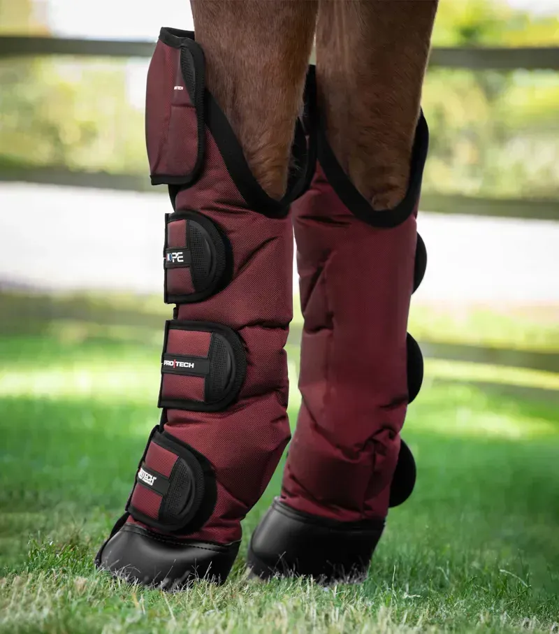 Ballistic Knee Pro-Tech Horse Travel Boots - Burgundy-2