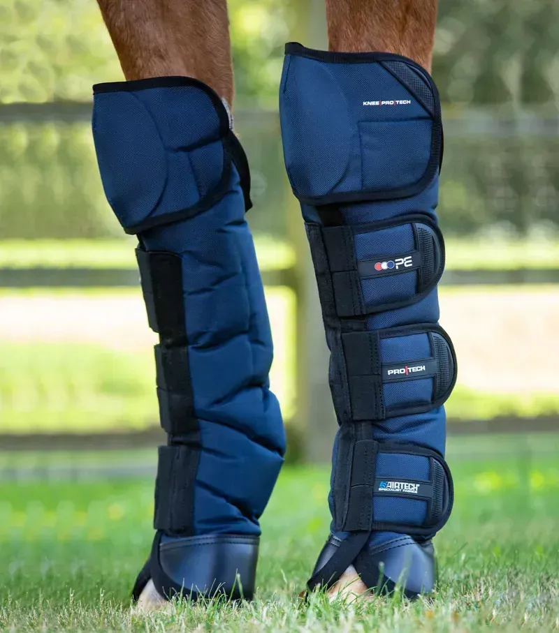 Ballistic Knee Pro-Tech Horse Travel Boots - Navy
