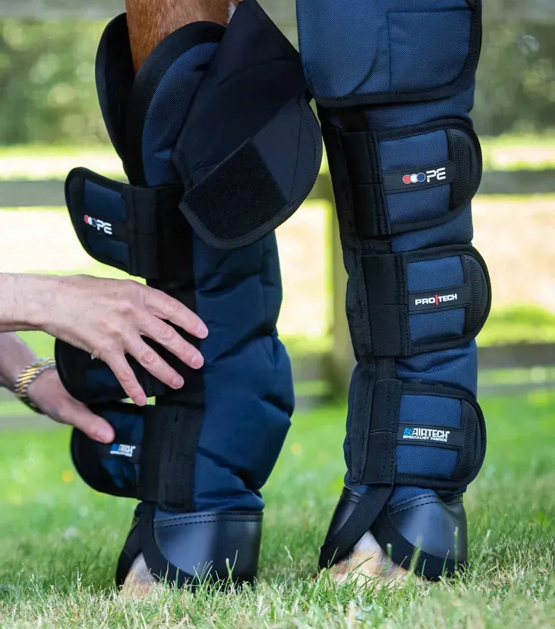 Ballistic Knee Pro-Tech Horse Travel Boots - Navy-1