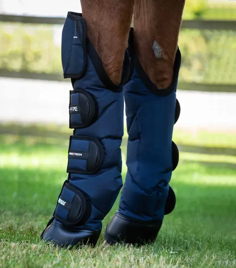 Ballistic Knee Pro-Tech Horse Travel Boots - Navy-2