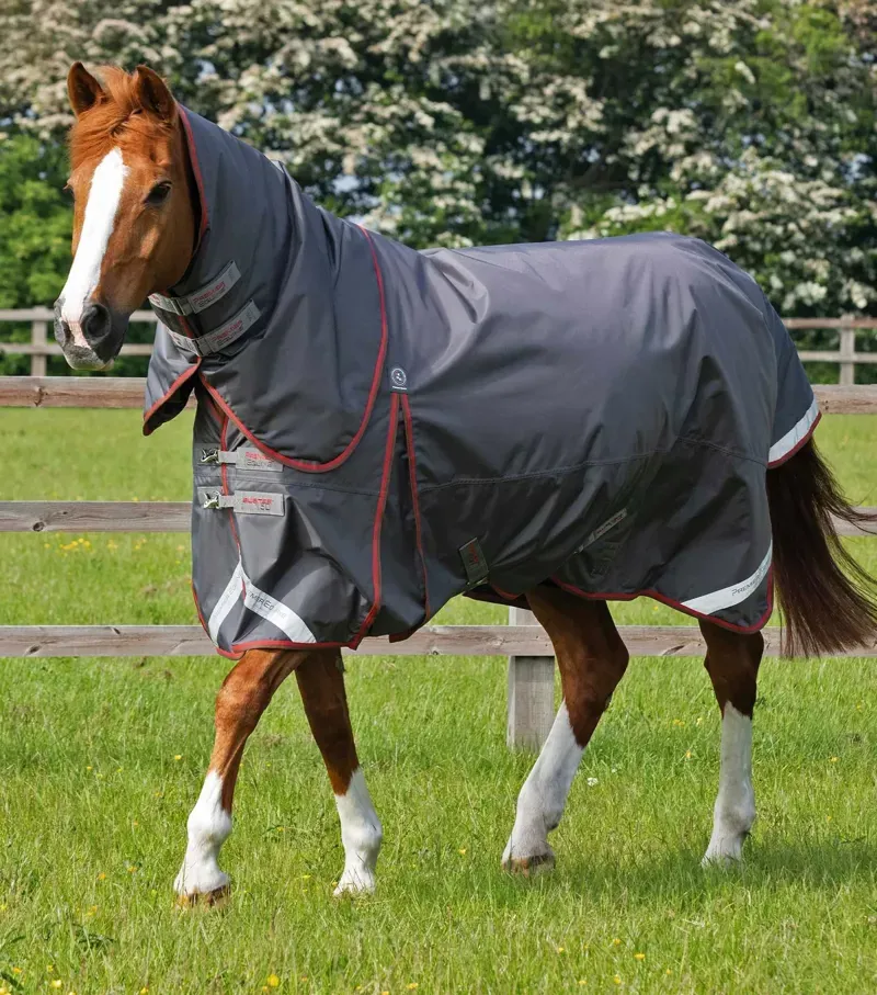 Buster 150g Turnout Rug With Classic Neck Cover / Grey