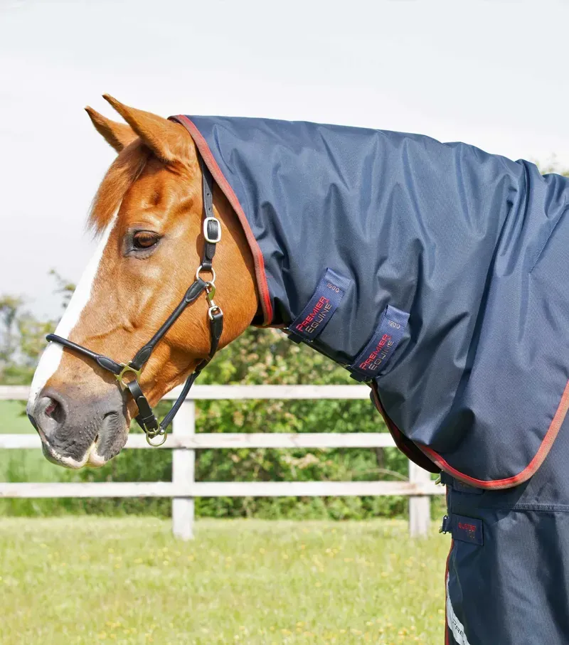 Buster 150g Turnout Rug With Classic Neck Cover / Navy-1