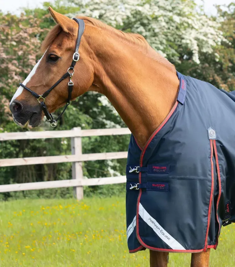 Buster 150g Turnout Rug With Classic Neck Cover / Navy-2
