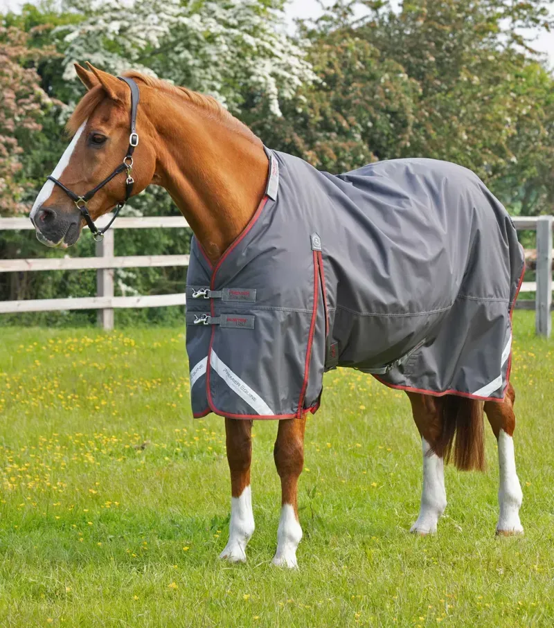 Buster 150g Turnout Rug With Classic Neck Cover / Grey-2