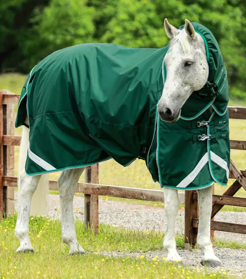Buster 200g Turnout Rug With Snug-Fit Neck Cover / Green