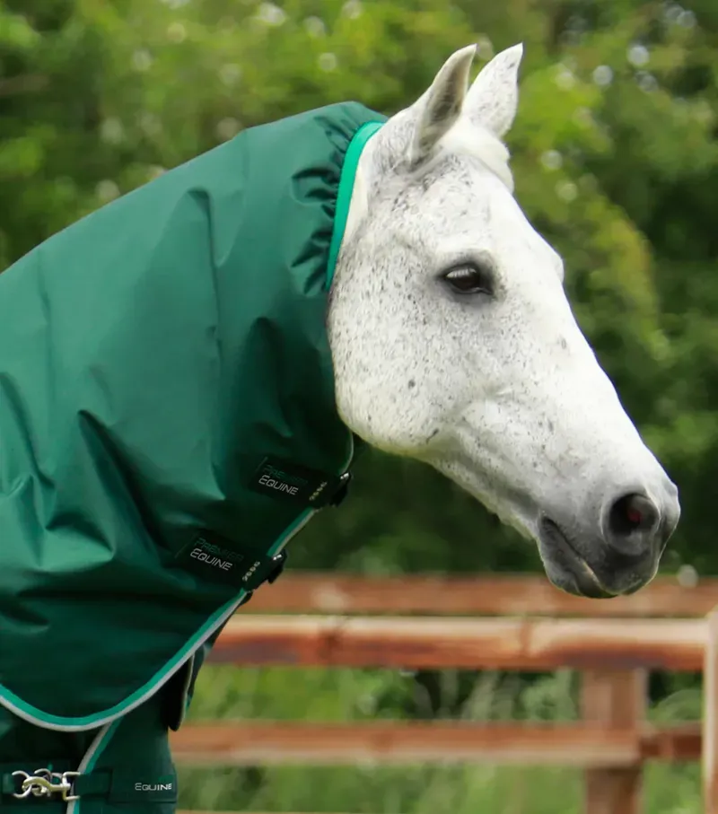 Buster 200g Turnout Rug With Snug-Fit Neck Cover / Green-1