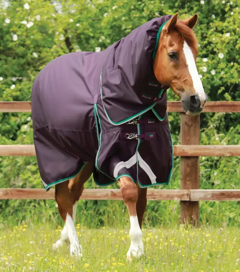 Buster 200g Turnout Rug With Snug-Fit Neck Cover / Purple