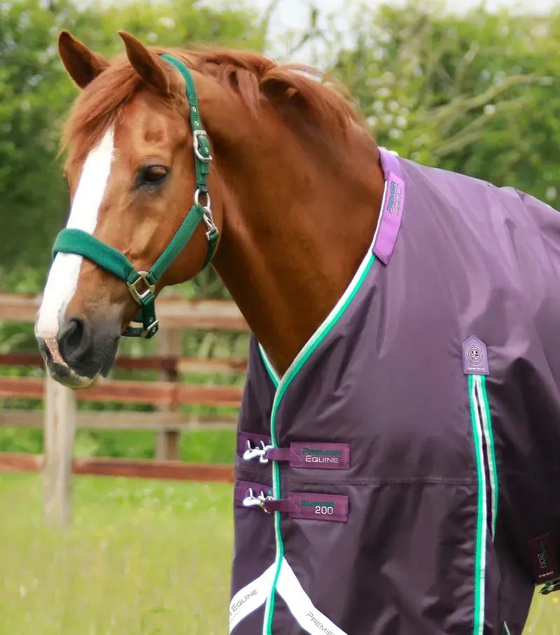 Buster 200g Turnout Rug With Snug-Fit Neck Cover / Purple-1