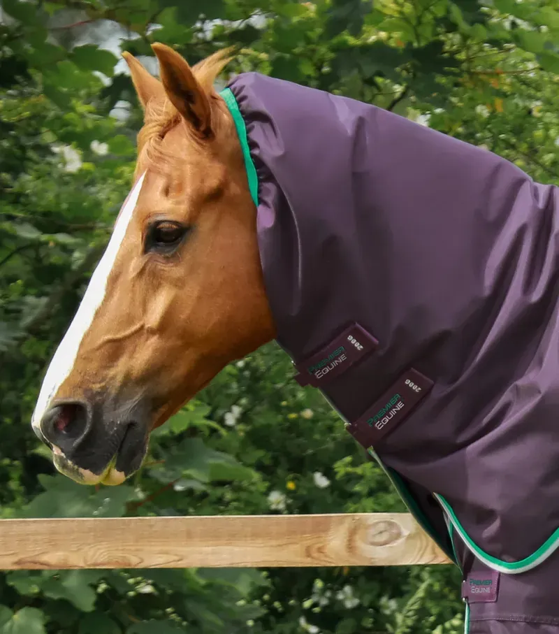 Buster 200g Turnout Rug With Snug-Fit Neck Cover / Purple-2
