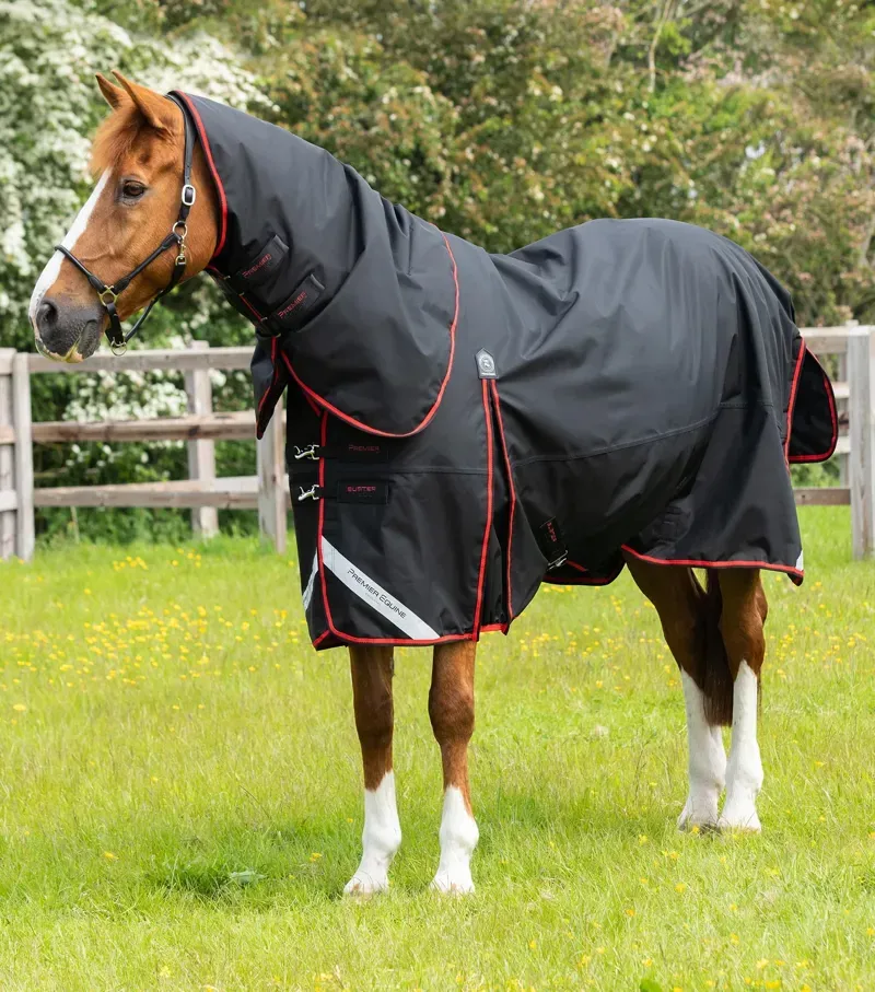 Buster 250g Turnout Rug With Classic Neck Cover / Black