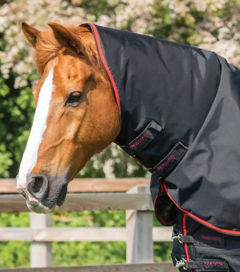 Buster 250g Turnout Rug With Classic Neck Cover / Black-2