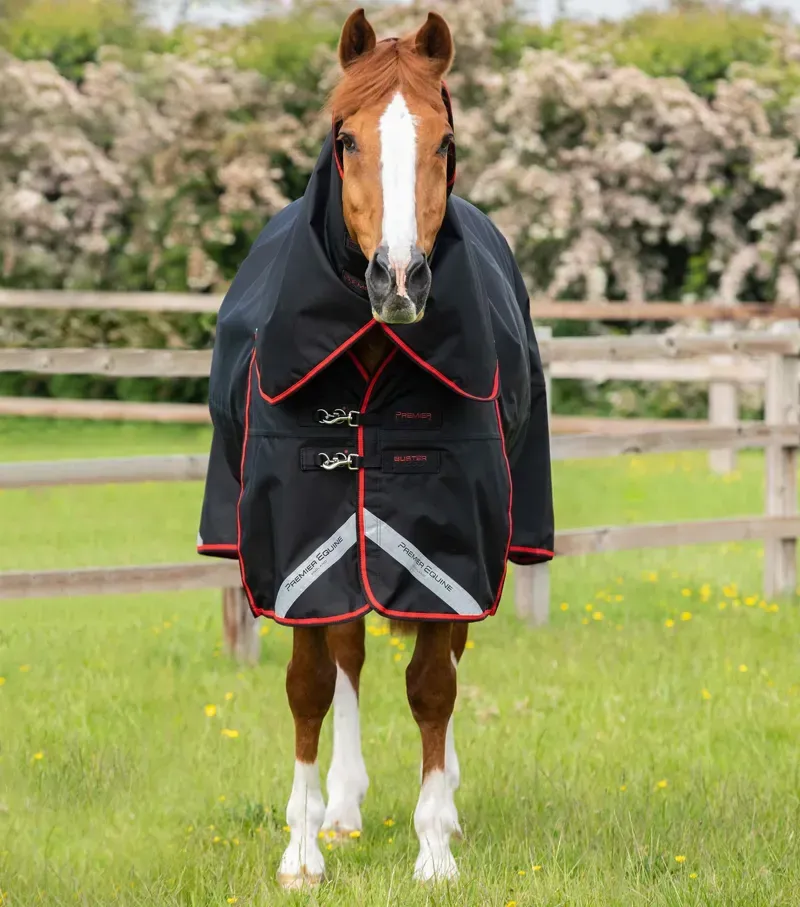 Buster 250g Turnout Rug With Classic Neck Cover / Black-1