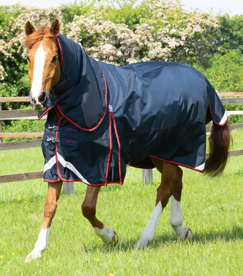 Buster 250g Turnout Rug With Classic Neck Cover / Navy