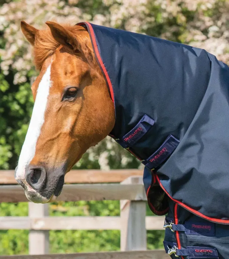Buster 250g Turnout Rug With Classic Neck Cover / Navy-1