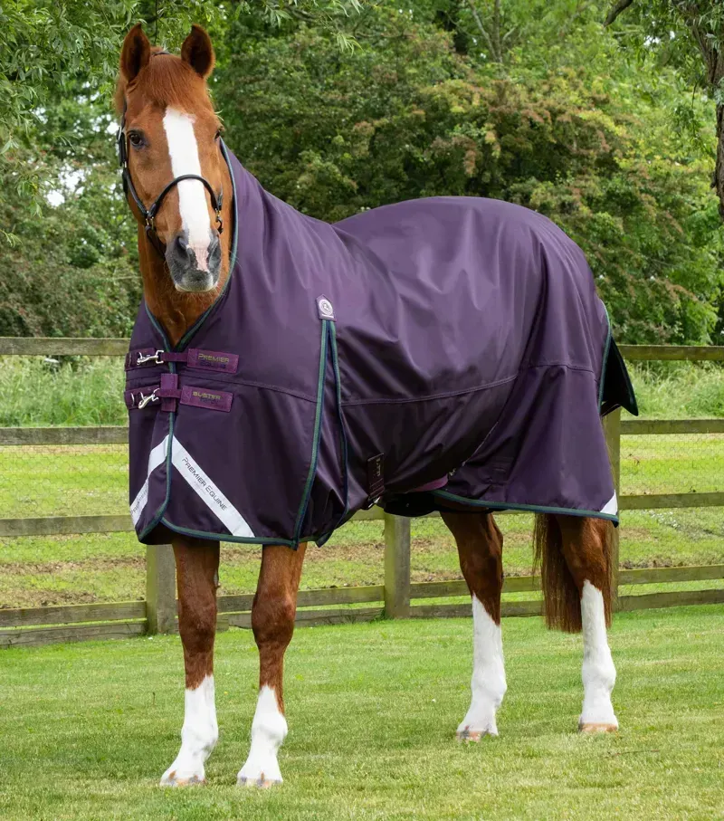Premier Equine Buster Hardy 100g Half Neck Turnout Rug in Purple