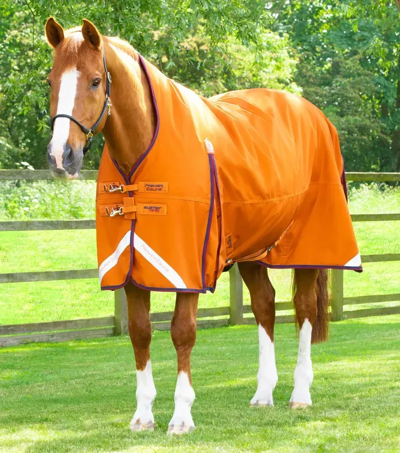 Buster Hardy 200g Half Neck Turnout Rug / Burnt Orange