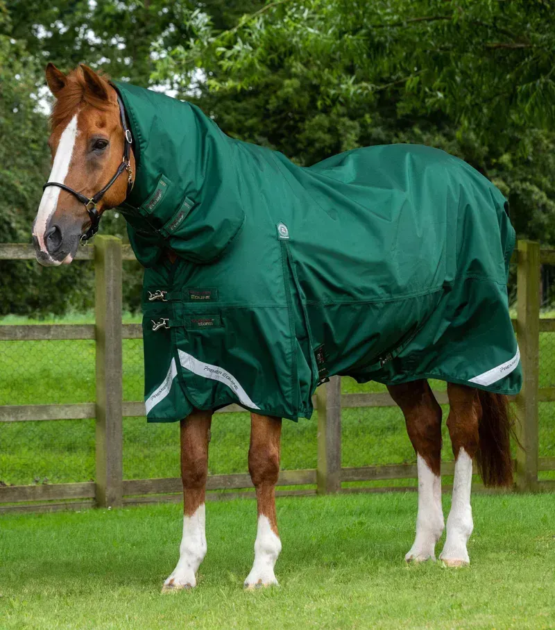 Buster Storm 220g Combo Turnout Rug With Classic Neck / Green