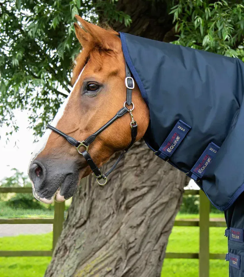 Buster Storm 220g Combo Turnout Rug With Classic Neck / Navy-1