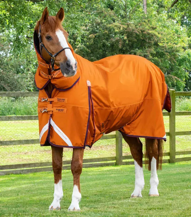 Buster Storm 200g Combo Turnout Rug With Classic Neck / Burnt Orange
