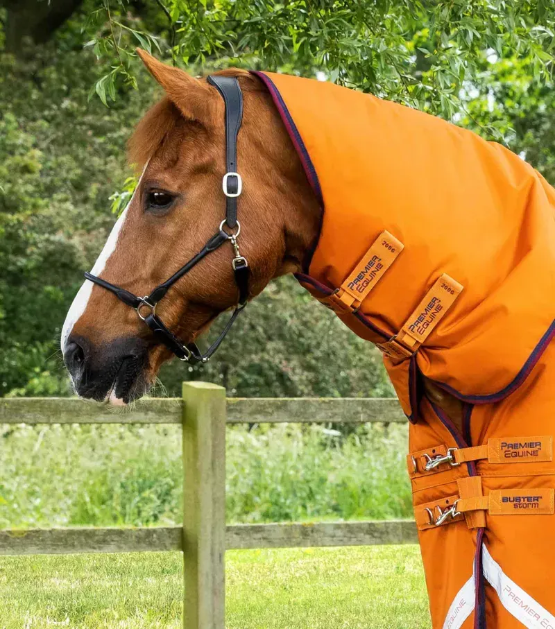 Buster Storm 200g Combo Turnout Rug With Classic Neck / Burnt Orange-1