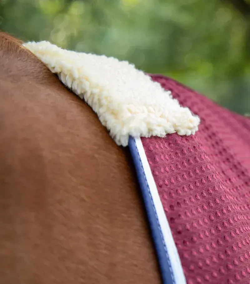 Premier Equine Buster Waffle Horse Cooler Rug in Burgundy-2