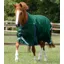 Premier Equine Buster Zero Original Turnout Rug in Green