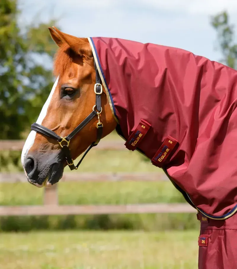 Premier Equine Buster Zero Turnout Rug With Classic Neck Cover in Burgundy-2
