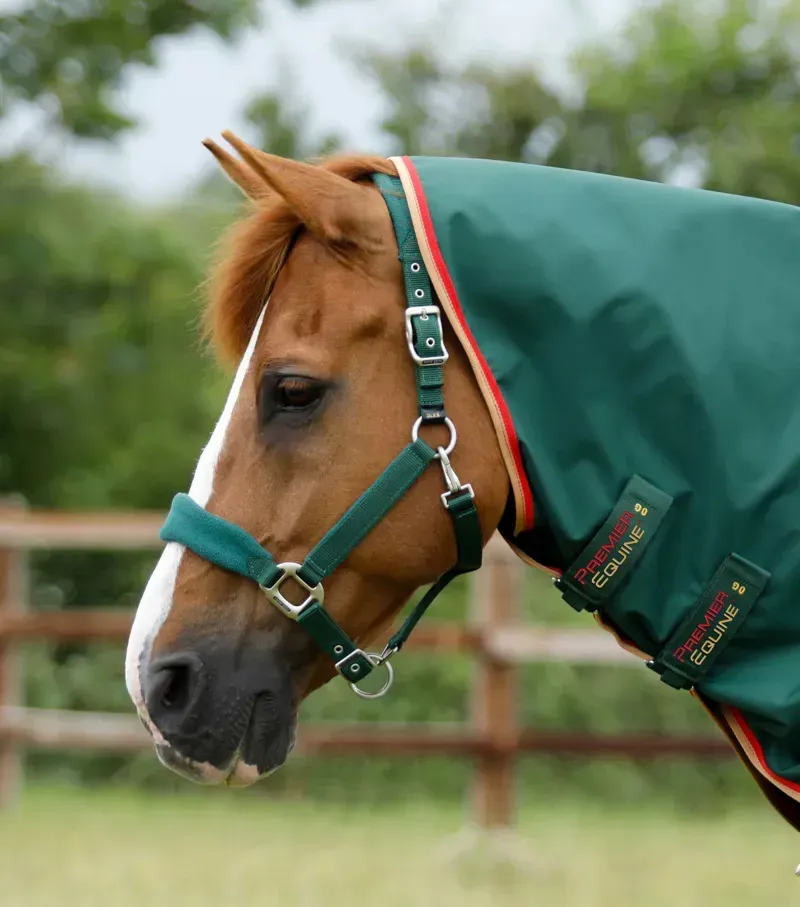 Premier Equine Buster Zero Turnout Rug With Classic Neck Cover in Green-2