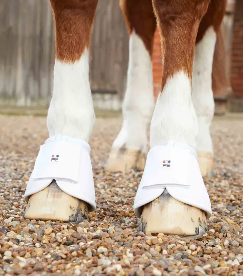 Carbon Wrap Over Reach Boots / White-3