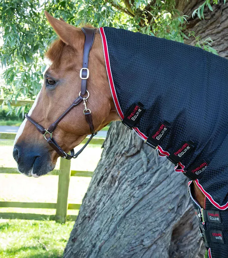 Combo Buster Waffle Horse Cooler Rug / Black-1