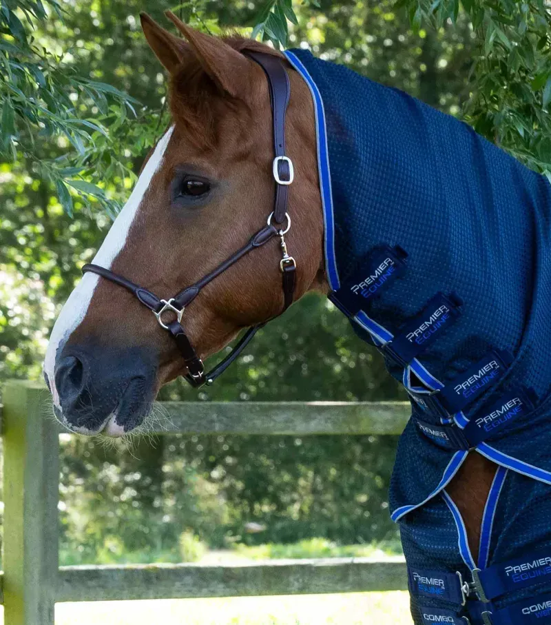 Premier Equine Combo Buster Waffle Horse Cooler Rug in Navy-1