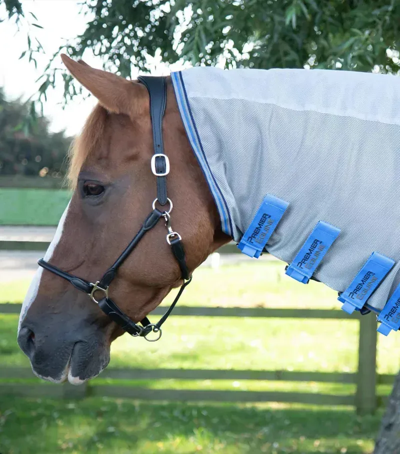 Premier Equine Combo Mesh Air Fly Rug With Surcingles in Blue-1
